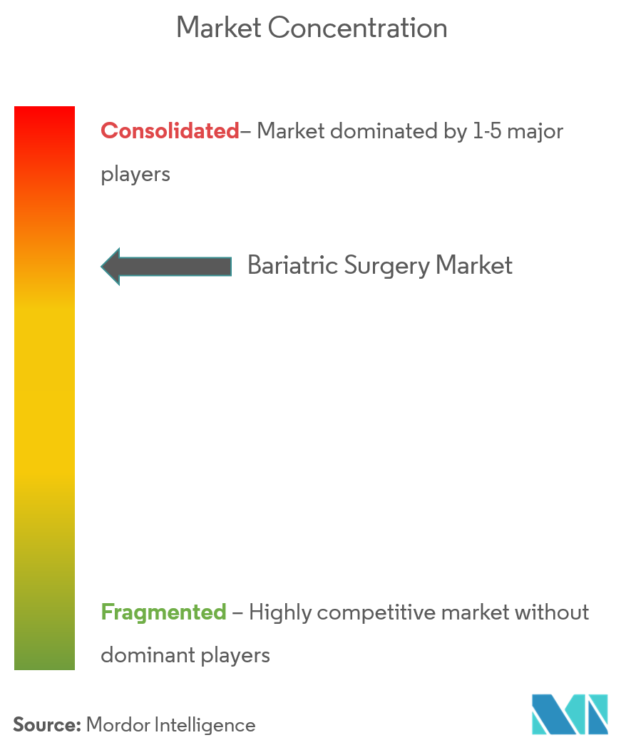 Bariatric Surgery Market Concentration